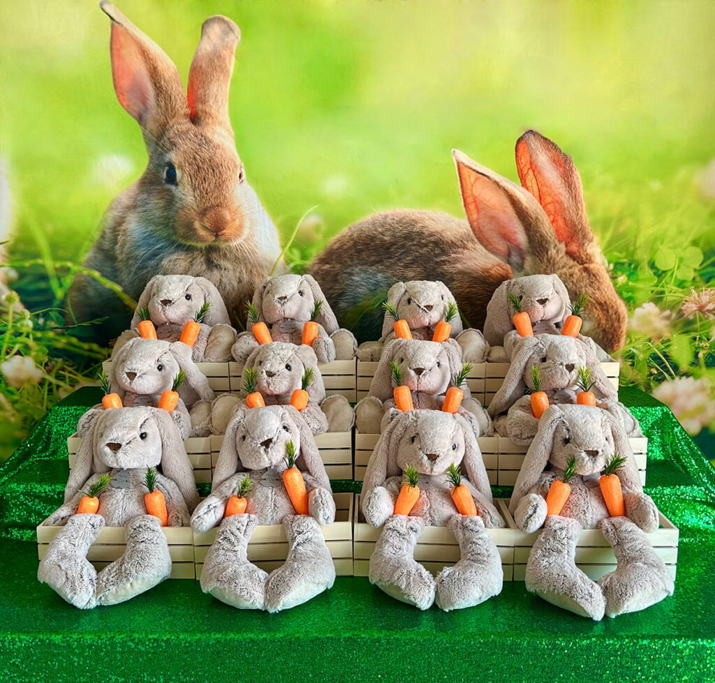 Easter bunny adoption table with plush bunnies displayed in wooden crates decorated with carrots, ready for kids to adopt and take home.