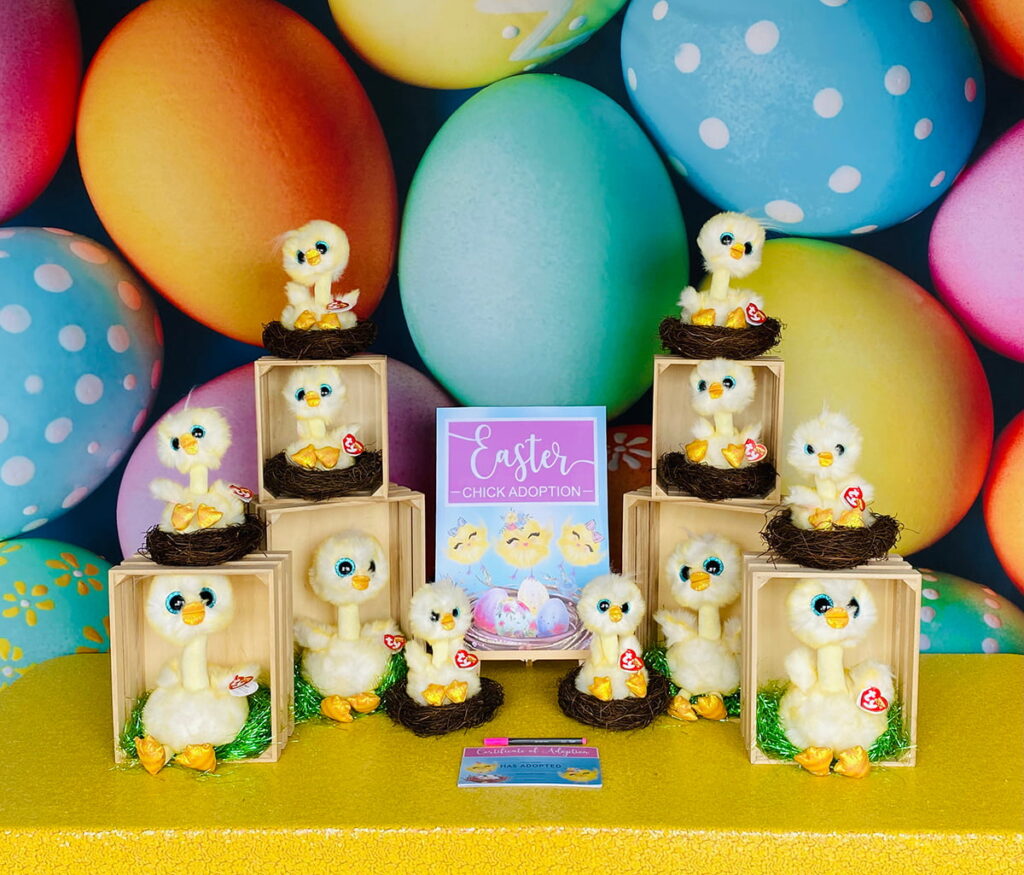 Easter chick adoption activity setup with plush chicks resting in nests inside crates, ready for kids to adopt and take home.