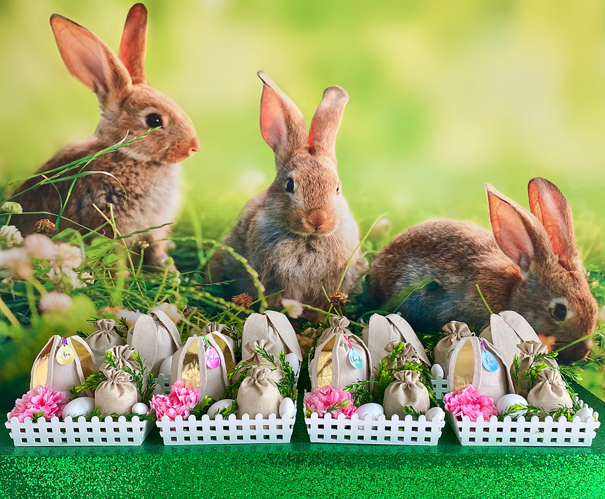 Wide view of Easter fairy garden party activity table with a child smiling behind it, featuring decorated crates, bunny backdrop, and spring-inspired setup.