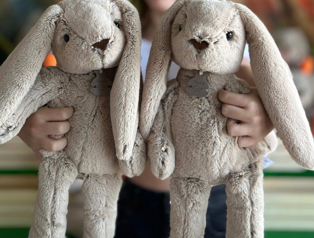 Close-up of two plush bunnies held out by a girl, with only her hands partially visible and the girl out of frame.