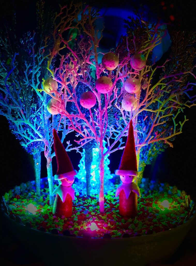 Kids’ Christmas fairy garden with glowing LED lights, wooden elves, a light-up mini Christmas tree, and winter floral picks.